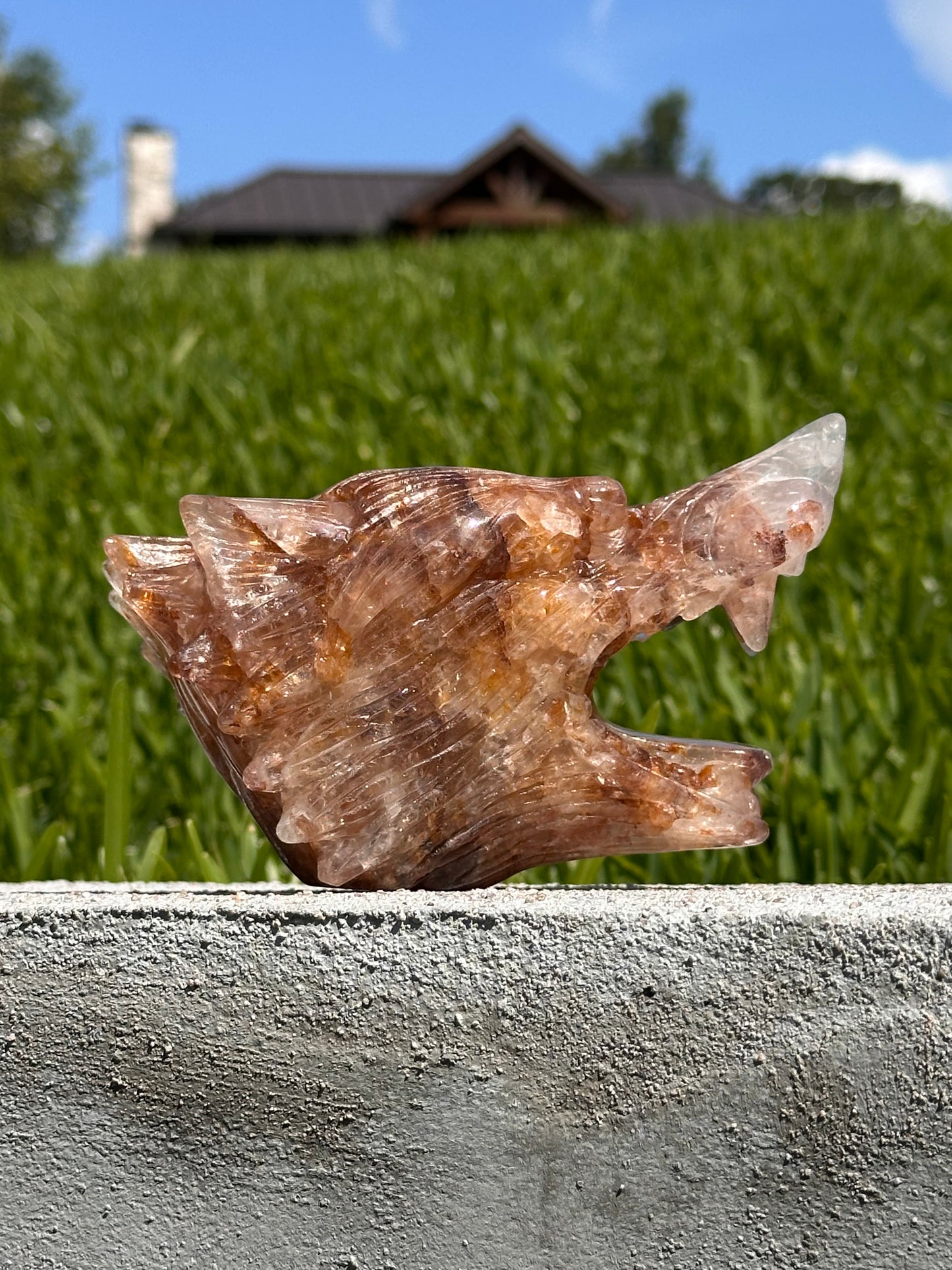 Golden Healer Quartz Wolf Head Carving