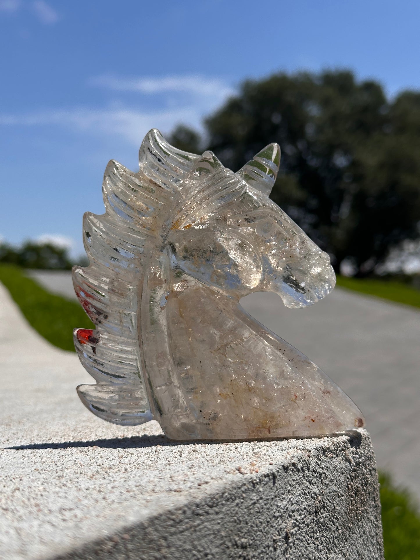 Unicorn Carving with Hematoid Inclusions and Rainbows
