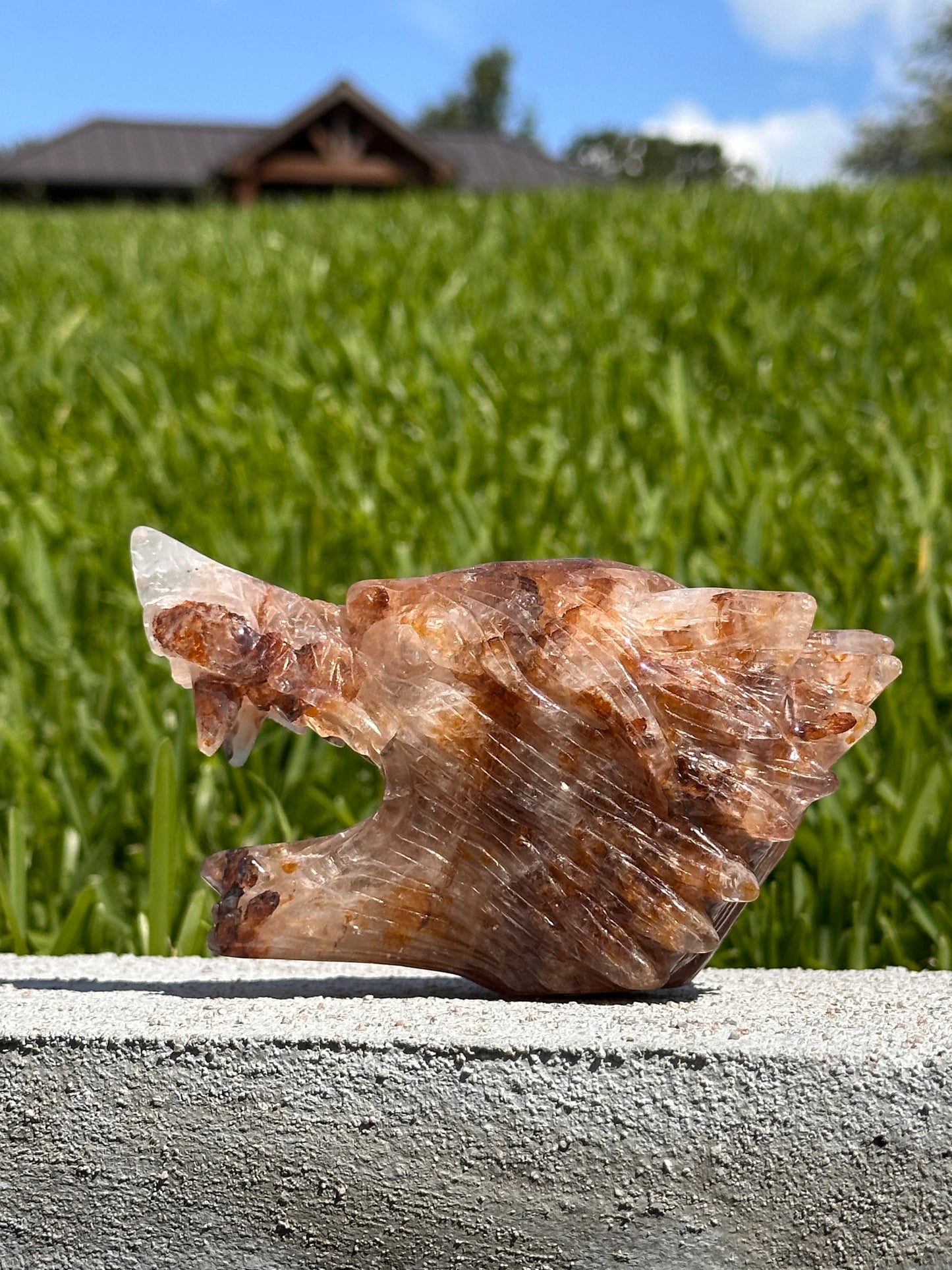 Golden Healer Quartz Wolf Head Carving