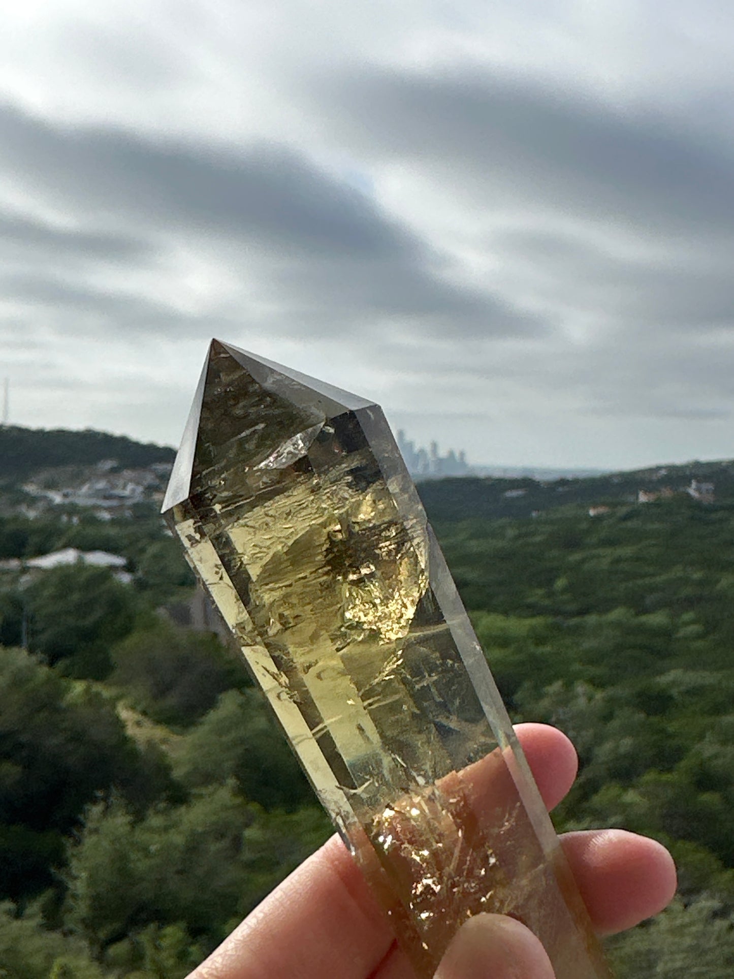 Brazilian Citrine Vogel