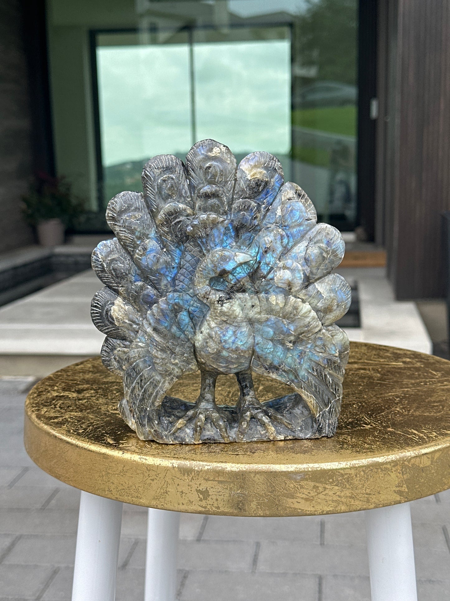 Labradorite Peacock