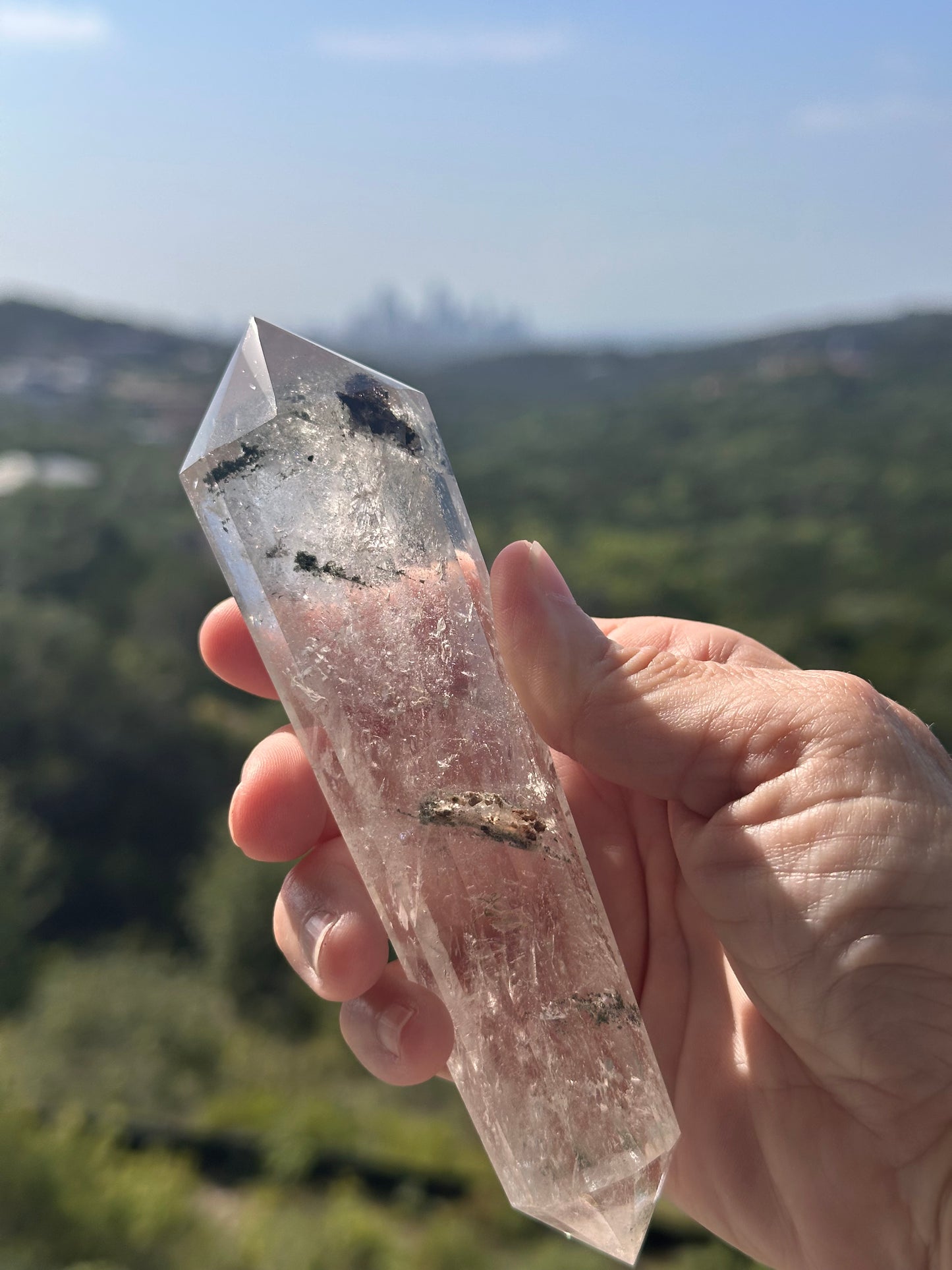 Shaman Dream Stone Vogel