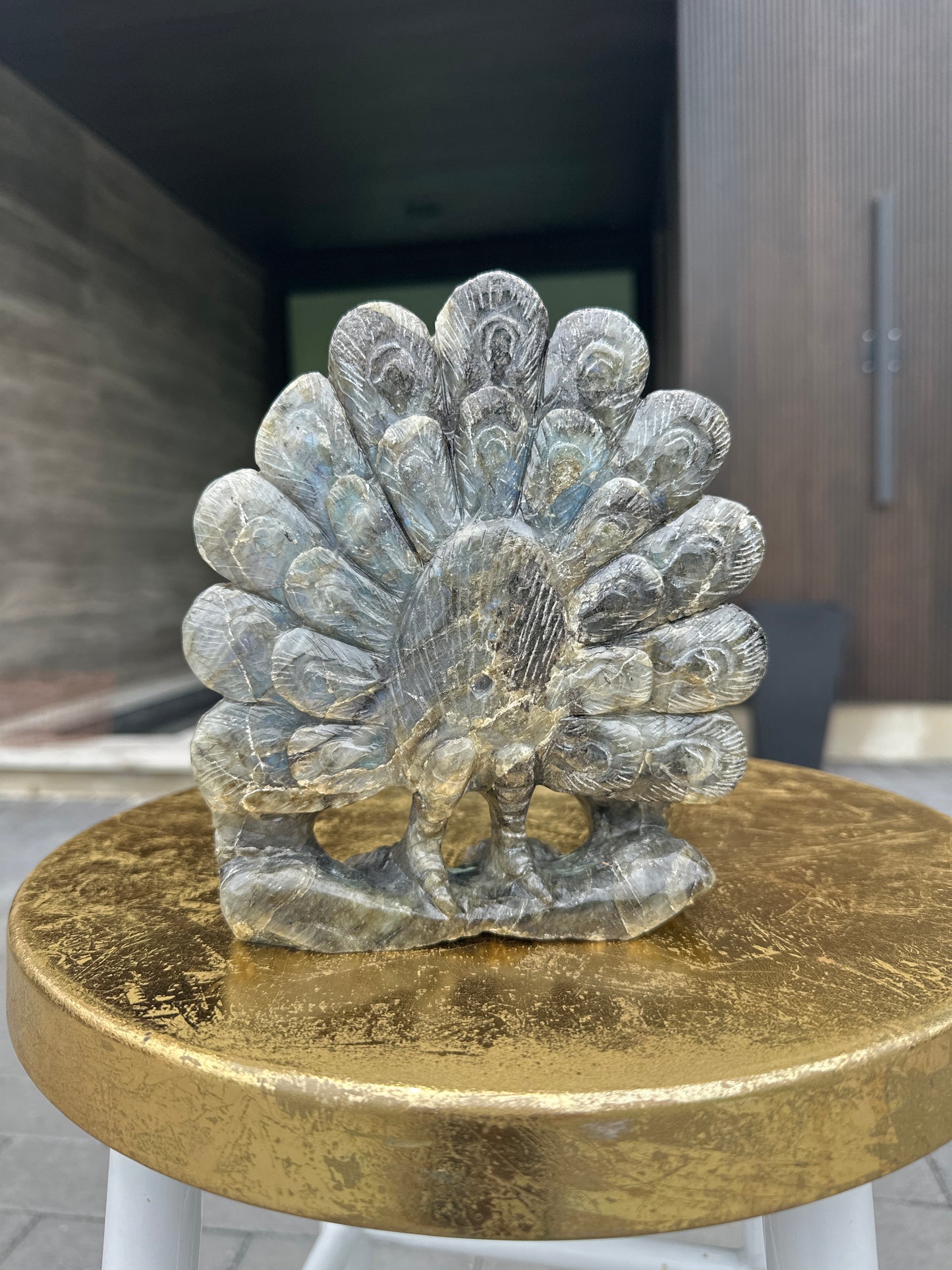 Labradorite Peacock