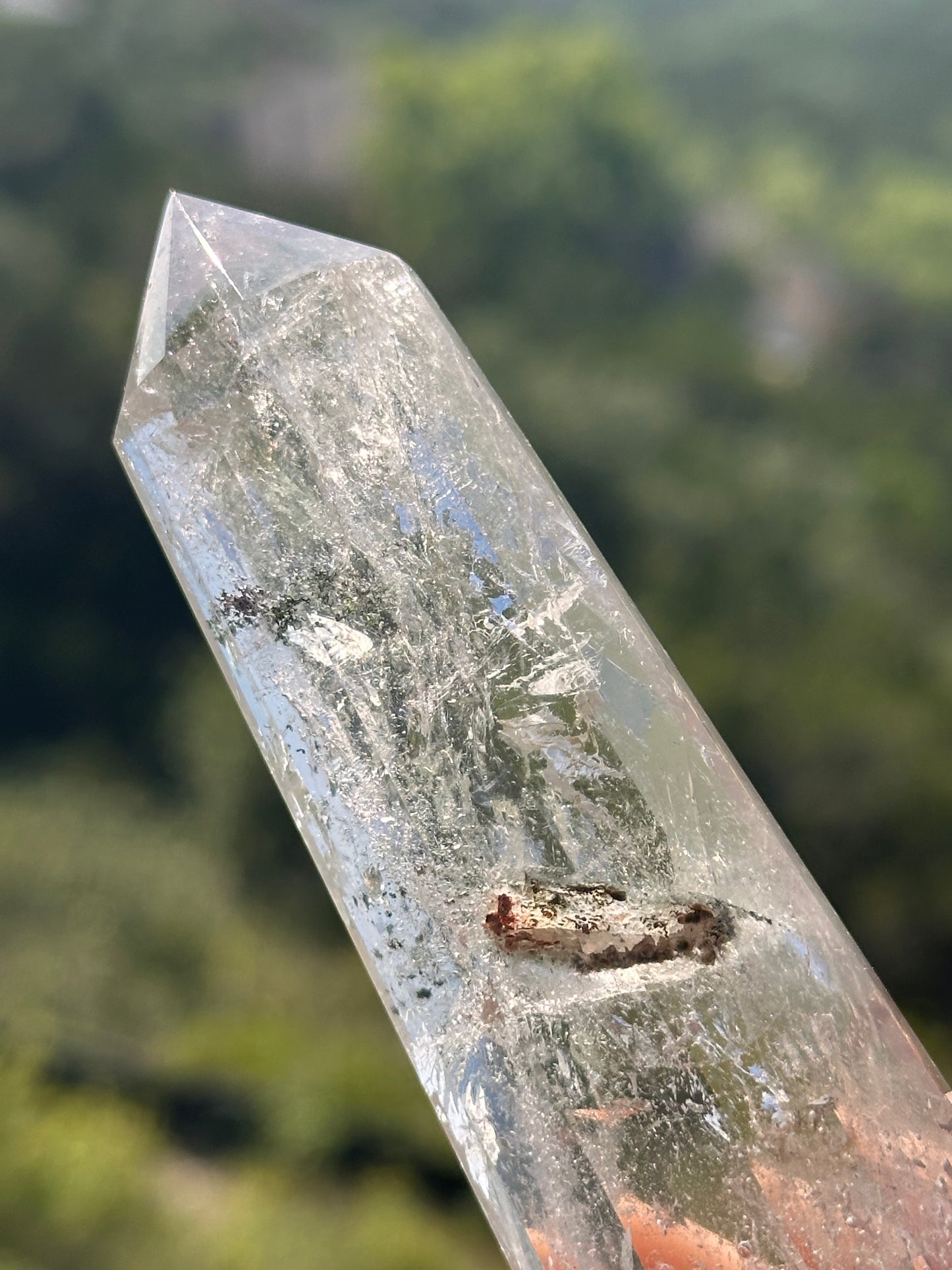 Shaman Dream Stone Vogel