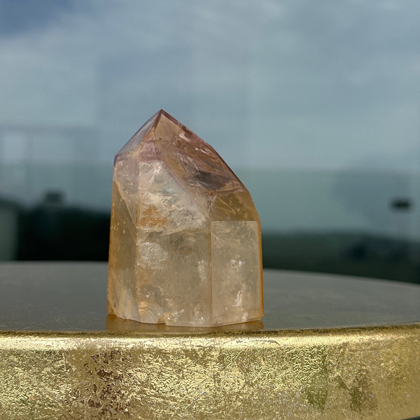 Super Rare Dreamcoat Lemurian