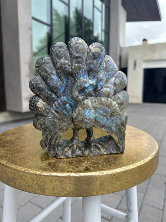 Labradorite Peacock
