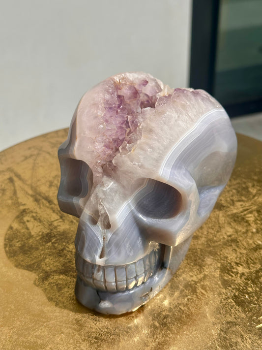 Rare Blue Lace Agate Skull with a Large Amethyst Cave Over 5 LBS