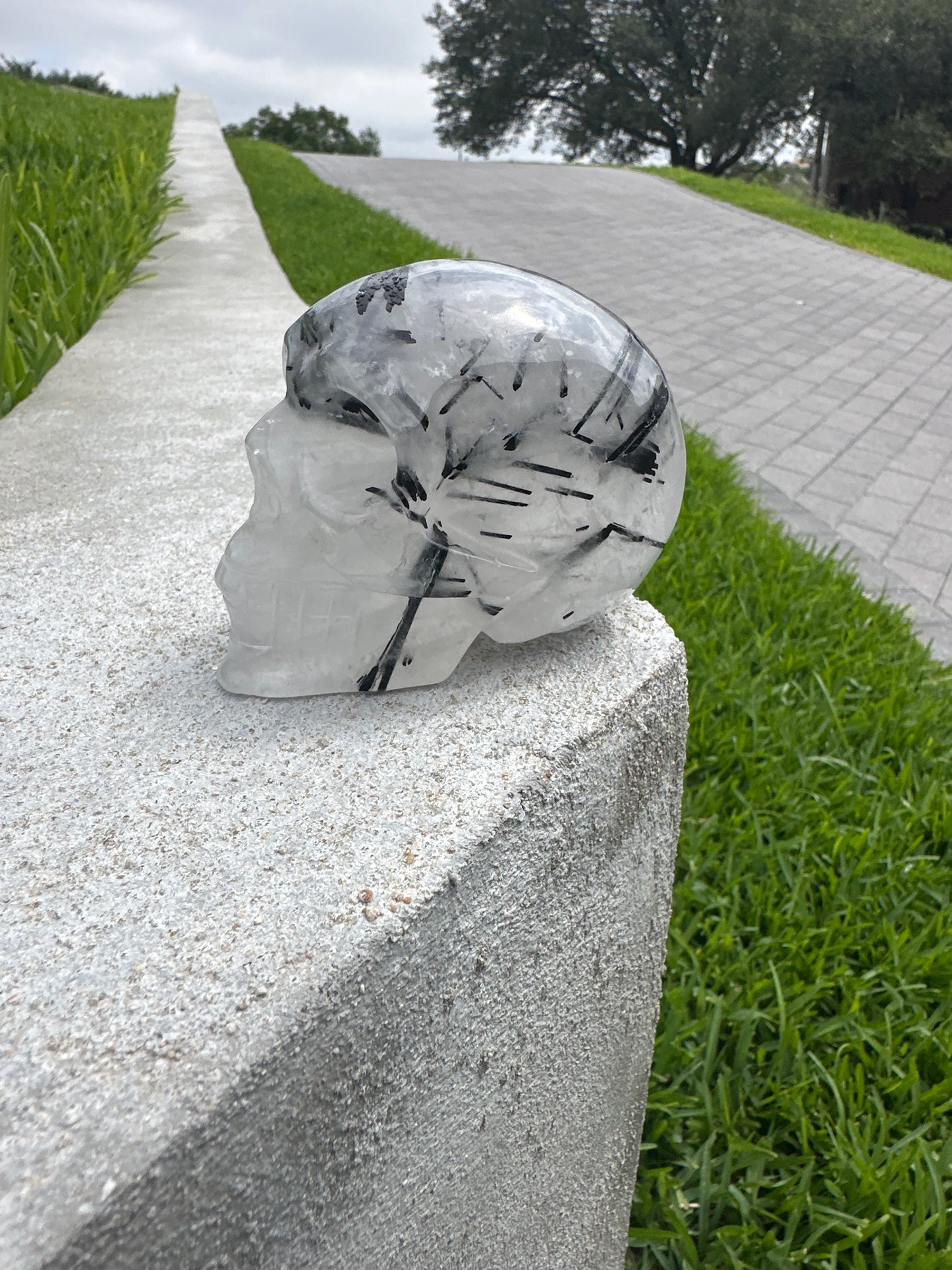 Clear Quartz Skull With Black Tourmaline Rods