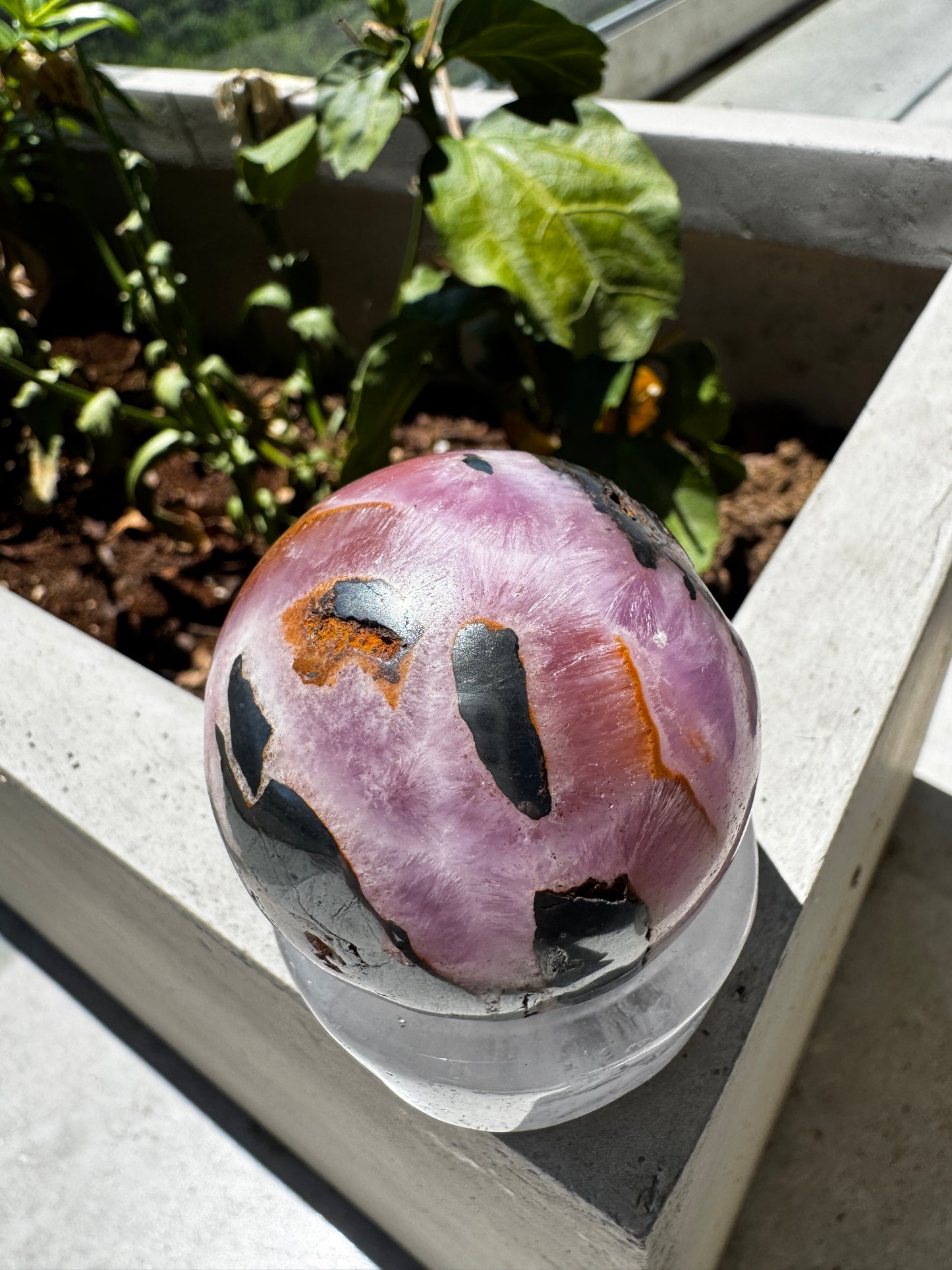Glowing Shades of Pink and Orange Aragonite & Magnetite Sphere 214 Gram Sphere