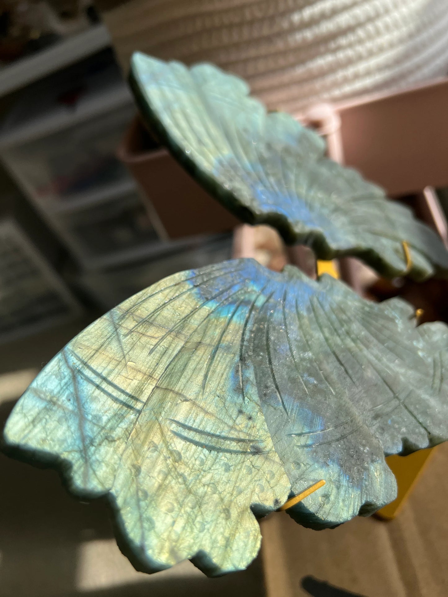 Ultra Flash Labradorite Giant Butterfly Wings with Free Stand